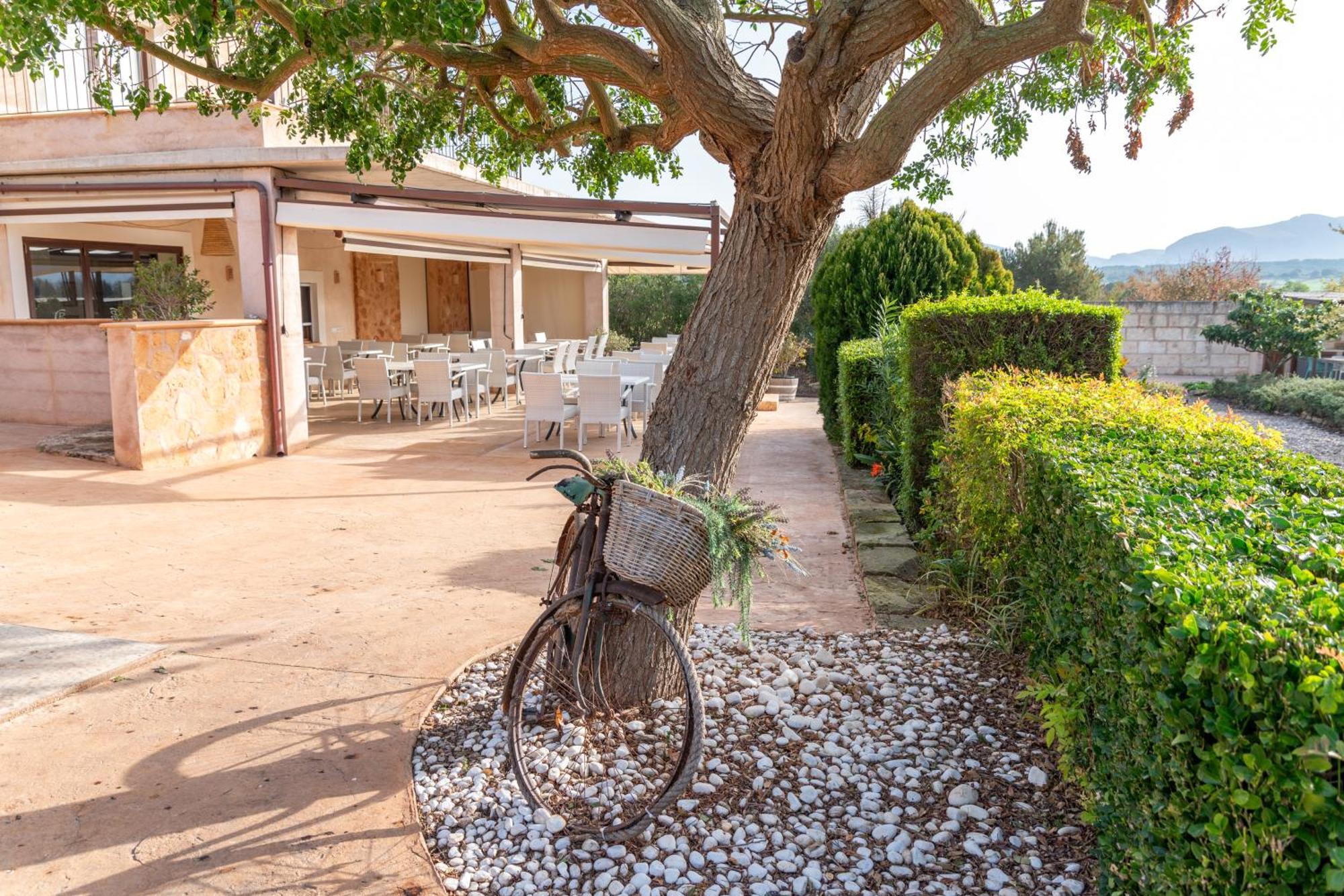 Agroturismo Can Pere Rei ซอนเซียรา เด มารีนา ภายนอก รูปภาพ